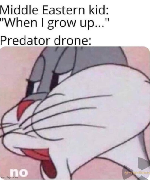 No | image tagged in lol,memes,pred drone | made w/ Imgflip meme maker