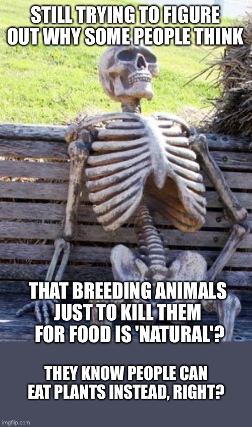 the idea of farming animals in order to kill them to eat is more than a bit odd, when you think about it | STILL TRYING TO FIGURE OUT WHY SOME PEOPLE THINK; THAT BREEDING ANIMALS 
JUST TO KILL THEM 
FOR FOOD IS 'NATURAL'? THEY KNOW PEOPLE CAN EAT PLANTS INSTEAD, RIGHT? | image tagged in memes,waiting skeleton,vegetarian,killing animals,veganism,plant-based | made w/ Imgflip meme maker