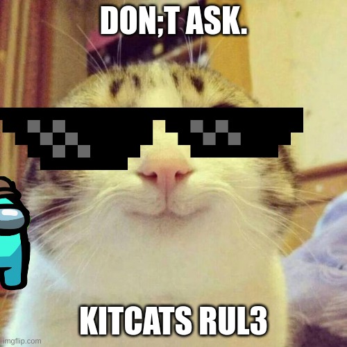 Smiling Cat Meme | DON;T ASK. KITCATS RUL3 | image tagged in memes,smiling cat | made w/ Imgflip meme maker