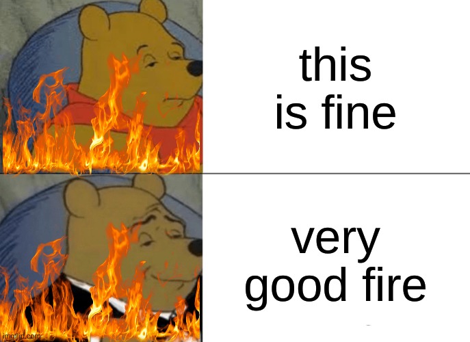 Tuxedo Winnie The Pooh | this is fine; very good fire | image tagged in memes,tuxedo winnie the pooh | made w/ Imgflip meme maker