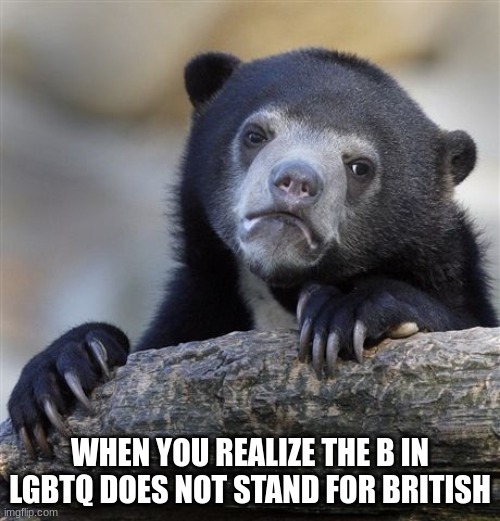 B for British? | WHEN YOU REALIZE THE B IN LGBTQ DOES NOT STAND FOR BRITISH | image tagged in memes,confession bear | made w/ Imgflip meme maker