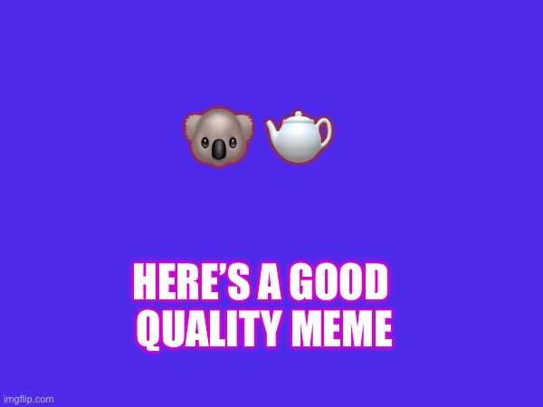 Good Stuff | 🐨 🫖; HERE’S A GOOD 
QUALITY MEME | image tagged in funny,koala,tea | made w/ Imgflip meme maker