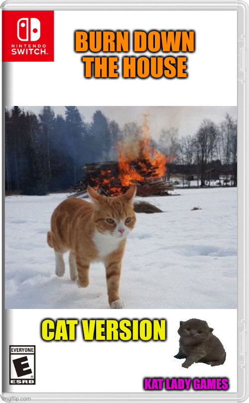 Watch everything burn because of a cat | BURN DOWN THE HOUSE; CAT VERSION; KAT LADY GAMES | image tagged in cat,fire,games | made w/ Imgflip meme maker