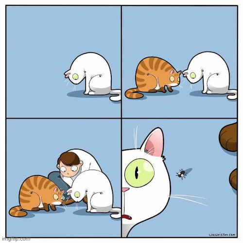 Stare | image tagged in cat,cartoon,comics | made w/ Imgflip meme maker