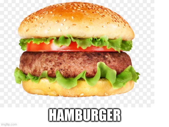 Hamburger | HAMBURGER | image tagged in hamburger,chess | made w/ Imgflip meme maker