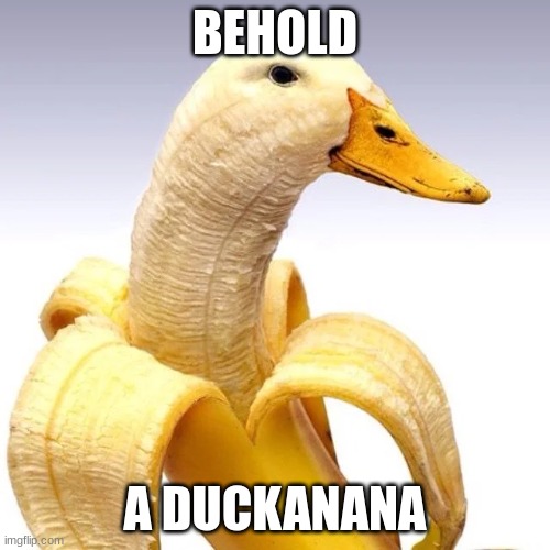 BEHOLD; A DUCKANANA | image tagged in funny | made w/ Imgflip meme maker