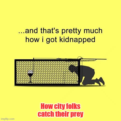 How city folks catch their prey | How city folks catch their prey | image tagged in wine | made w/ Imgflip meme maker