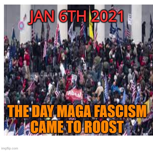 JAN 6TH 2021 THE DAY MAGA FASCISM 
CAME TO ROOST | made w/ Imgflip meme maker