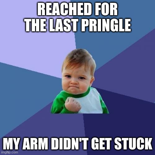 wow | REACHED FOR THE LAST PRINGLE; MY ARM DIDN'T GET STUCK | image tagged in memes,success kid | made w/ Imgflip meme maker