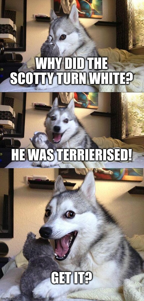 Bad Pun Dog | WHY DID THE SCOTTY TURN WHITE? HE WAS TERRIERISED! GET IT? | image tagged in memes,bad pun dog | made w/ Imgflip meme maker