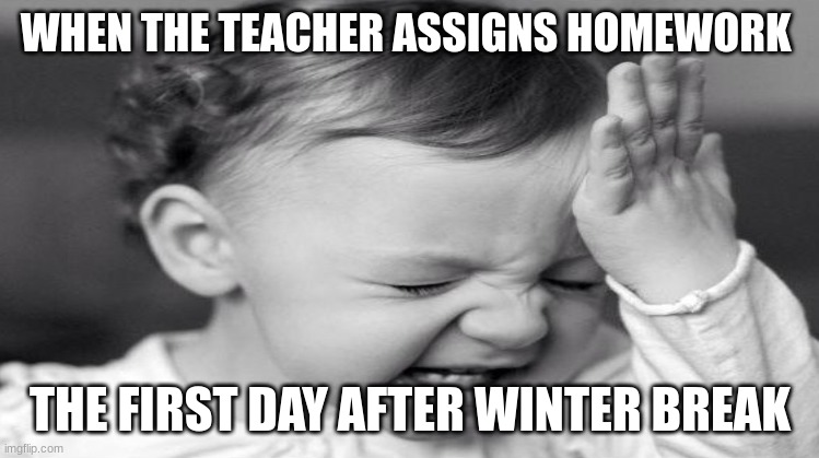 WHY | WHEN THE TEACHER ASSIGNS HOMEWORK; THE FIRST DAY AFTER WINTER BREAK | image tagged in memes,funny memes,school | made w/ Imgflip meme maker