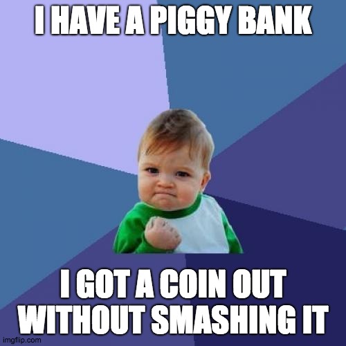 Success Kid | I HAVE A PIGGY BANK; I GOT A COIN OUT WITHOUT SMASHING IT | image tagged in memes,success kid | made w/ Imgflip meme maker