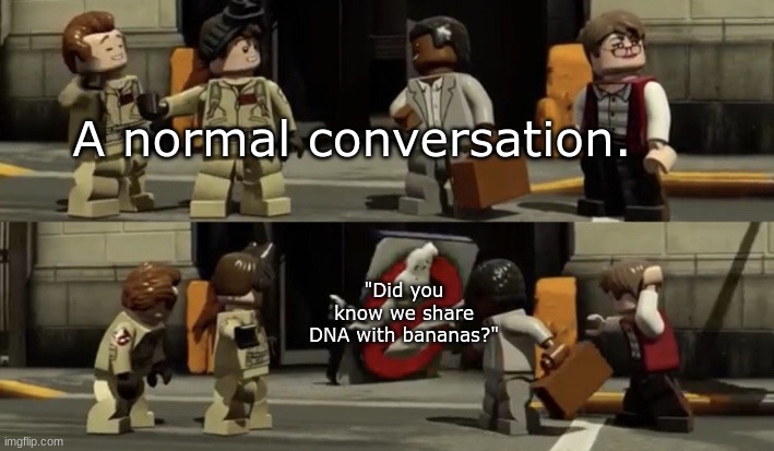 LEGO Dimensions Ghostbusters | A normal conversation. "Did you know we share DNA with bananas?" | image tagged in lego dimensions ghostbusters | made w/ Imgflip meme maker