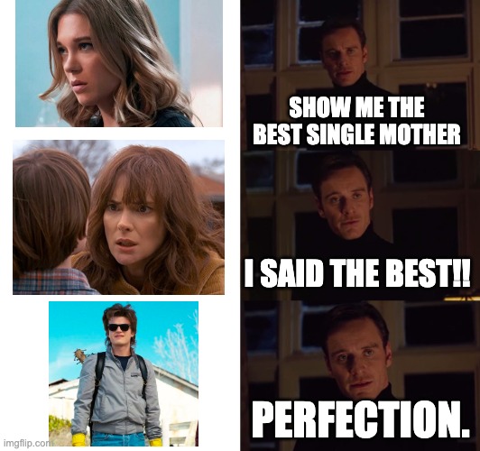 STEVE HARRINGTON!!!!!!!!! | SHOW ME THE BEST SINGLE MOTHER; I SAID THE BEST!! PERFECTION. | image tagged in perfection,stranger things,single mom | made w/ Imgflip meme maker