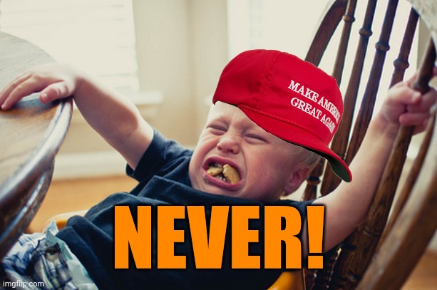 Toddler Tantrum | NEVER! | image tagged in toddler tantrum | made w/ Imgflip meme maker