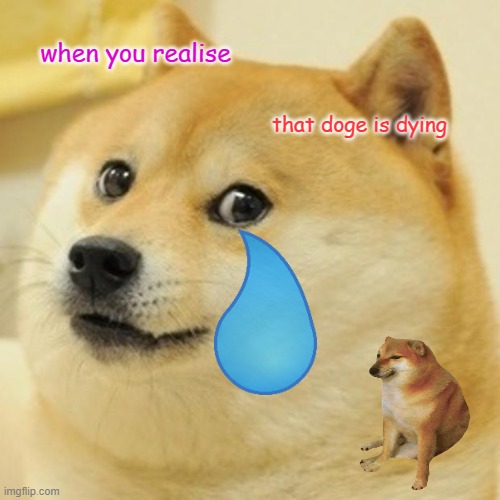 doge | when you realise; that doge is dying | image tagged in memes,doge | made w/ Imgflip meme maker