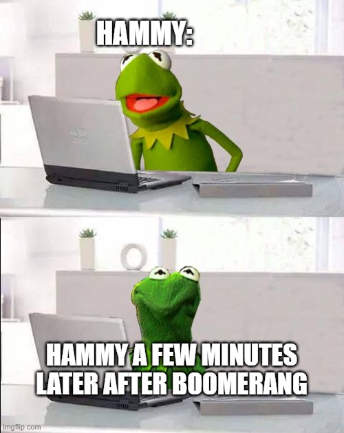 Hammy's Boomerang Adventure Be Like: | HAMMY:; HAMMY A FEW MINUTES LATER AFTER BOOMERANG | image tagged in hide the pain kermit | made w/ Imgflip meme maker