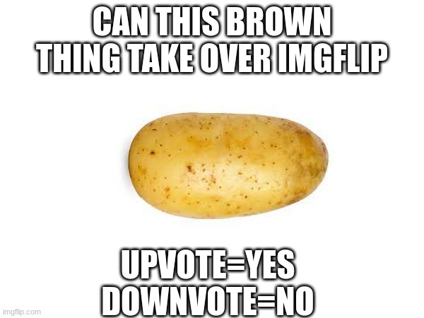 can it | CAN THIS BROWN THING TAKE OVER IMGFLIP; UPVOTE=YES
DOWNVOTE=NO | made w/ Imgflip meme maker