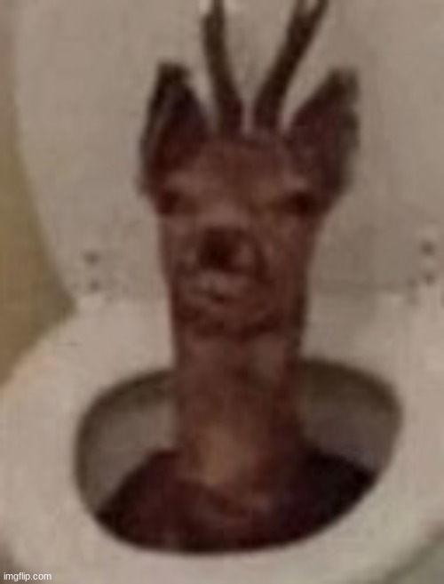 goofy ahh deer | image tagged in goofy ahh deer | made w/ Imgflip meme maker