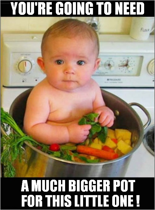 Cooking With Your Children ... | YOU'RE GOING TO NEED; A MUCH BIGGER POT   FOR THIS LITTLE ONE ! | image tagged in cooking,baby,going to need a bigger boat,dark humour | made w/ Imgflip meme maker