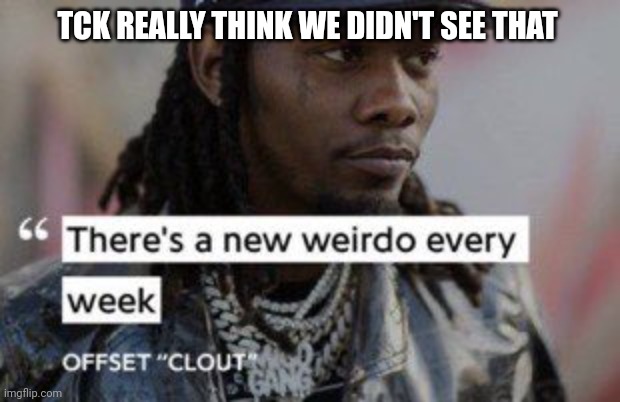 I saw what you deleted | TCK REALLY THINK WE DIDN'T SEE THAT | image tagged in pie charts | made w/ Imgflip meme maker