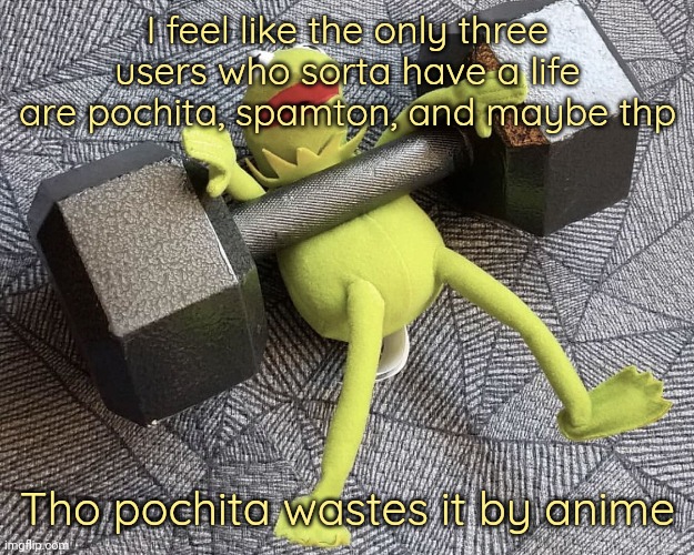 Idk, they just seem to do other things than spend all their time here. | I feel like the only three users who sorta have a life are pochita, spamton, and maybe thp; Tho pochita wastes it by anime | image tagged in the_one_who_knocks27 temp 5,carotata | made w/ Imgflip meme maker