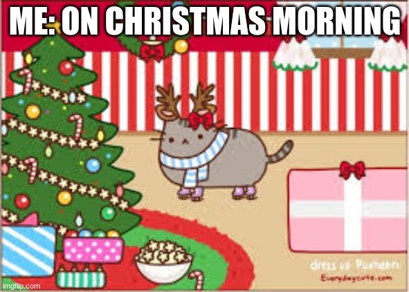 ME: ON CHRISTMAS MORNING | image tagged in pusheen | made w/ Imgflip meme maker