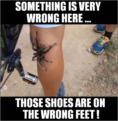 Am I Missing Something ? | SOMETHING IS VERY 
WRONG HERE ... THOSE SHOES ARE ON
 THE WRONG FEET ! | image tagged in obvious,shoes,spider | made w/ Imgflip meme maker