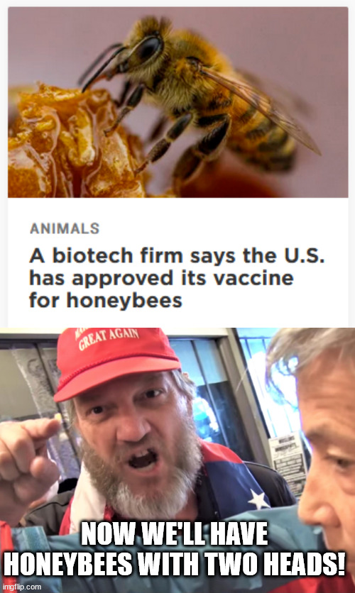 "American Foulbrood disease is a Democrat hoax that started in China!" | NOW WE'LL HAVE HONEYBEES WITH TWO HEADS! | image tagged in angry trump supporter,sorryantivaxxer | made w/ Imgflip meme maker