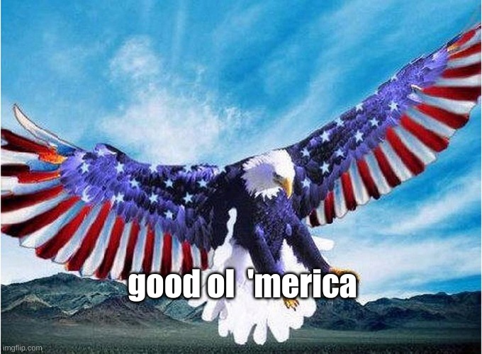 merica eagle | good ol  'merica | image tagged in merica eagle | made w/ Imgflip meme maker
