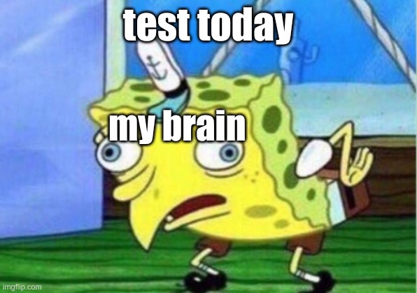 Mocking Spongebob | test today; my brain | image tagged in memes,mocking spongebob | made w/ Imgflip meme maker