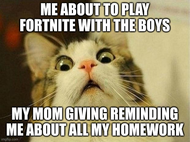 Scared Cat Meme | ME ABOUT TO PLAY FORTNITE WITH THE BOYS; MY MOM GIVING REMINDING ME ABOUT ALL MY HOMEWORK | image tagged in memes,scared cat | made w/ Imgflip meme maker