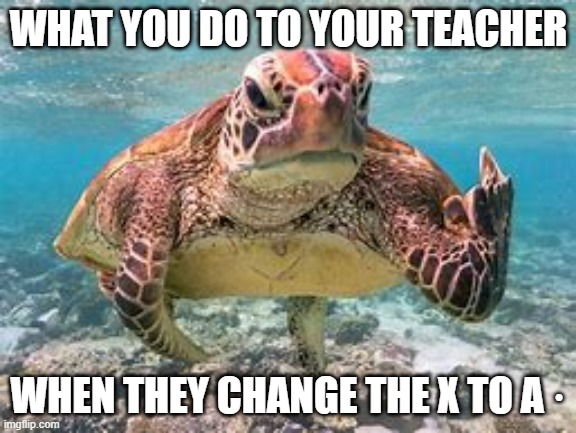 teacher | WHAT YOU DO TO YOUR TEACHER; WHEN THEY CHANGE THE X TO A · | image tagged in teacher,middle finger | made w/ Imgflip meme maker