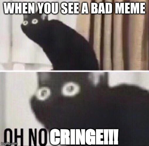Oh no cat | WHEN YOU SEE A BAD MEME; CRINGE!!! | image tagged in oh no cat,oh no cringe | made w/ Imgflip meme maker