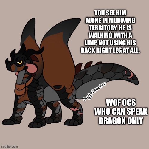 If it’s a scavenger they just be able to speak dragon | YOU SEE HIM ALONE IN MUDWING TERRITORY. HE IS WALKING WITH A LIMP, NOT USING HIS BACK RIGHT LEG AT ALL. WOF OCS WHO CAN SPEAK DRAGON ONLY | made w/ Imgflip meme maker