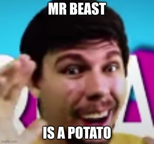 *Insert Funny Title Here* | MR BEAST; IS A POTATO | image tagged in mr beast | made w/ Imgflip meme maker