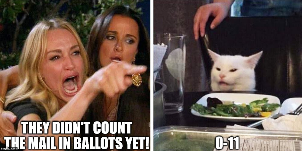 Smudge the cat | THEY DIDN'T COUNT THE MAIL IN BALLOTS YET! 0-11 | image tagged in smudge the cat | made w/ Imgflip meme maker