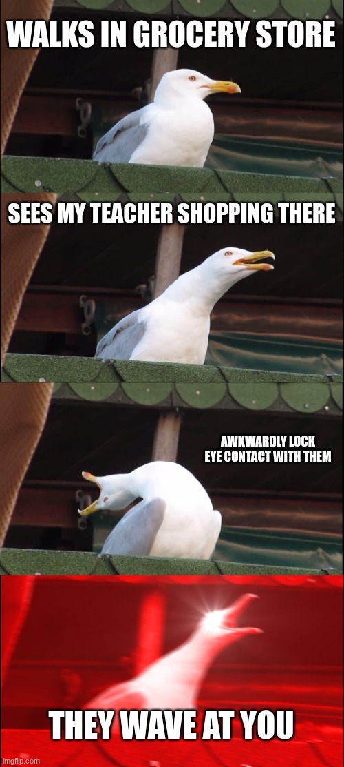 *Faints* | WALKS IN GROCERY STORE; SEES MY TEACHER SHOPPING THERE; AWKWARDLY LOCK EYE CONTACT WITH THEM; THEY WAVE AT YOU | image tagged in memes,inhaling seagull,why are you reading this,stop reading the tags,dank memes,middle school | made w/ Imgflip meme maker