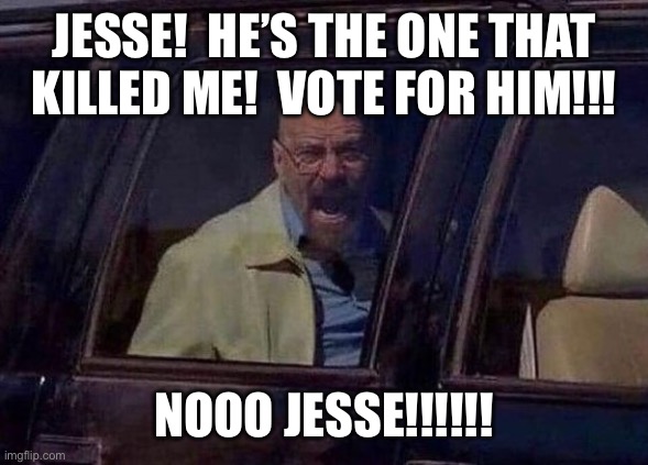 Walter White Screaming At Hank | JESSE!  HE’S THE ONE THAT KILLED ME!  VOTE FOR HIM!!! NOOO JESSE!!!!!! | image tagged in walter white screaming at hank | made w/ Imgflip meme maker