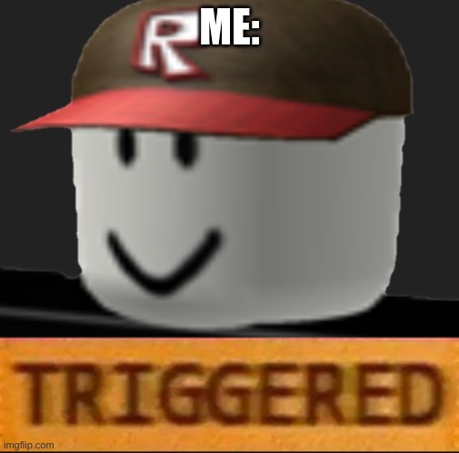 Roblox Triggered | ME: | image tagged in roblox triggered | made w/ Imgflip meme maker