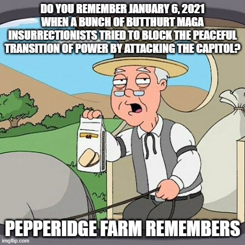 Pepperidge Farm Remembers Meme | DO YOU REMEMBER JANUARY 6, 2021 WHEN A BUNCH OF BUTTHURT MAGA INSURRECTIONISTS TRIED TO BLOCK THE PEACEFUL TRANSITION OF POWER BY ATTACKING THE CAPITOL? PEPPERIDGE FARM REMEMBERS | image tagged in memes,pepperidge farm remembers | made w/ Imgflip meme maker