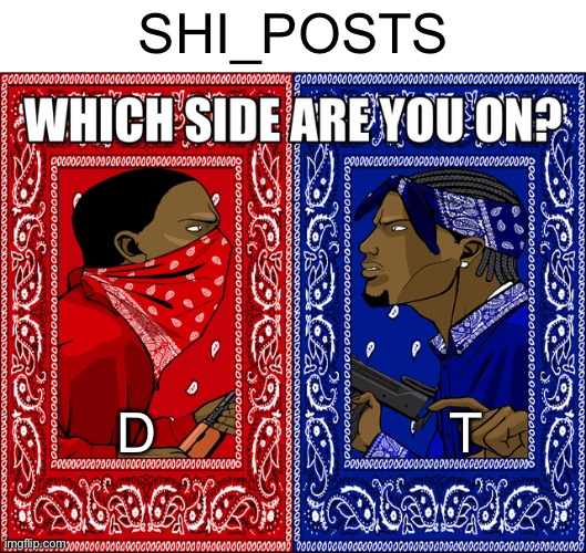 WHICH SIDE ARE YOU ON? | SHI_POSTS; D                   T | image tagged in which side are you on | made w/ Imgflip meme maker