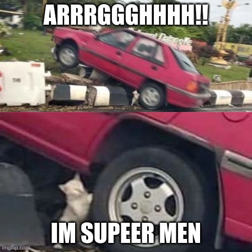 Cat holding up a car | ARRRGGGHHHH!! IM SUPEER MEN | image tagged in cat holding up a car | made w/ Imgflip meme maker
