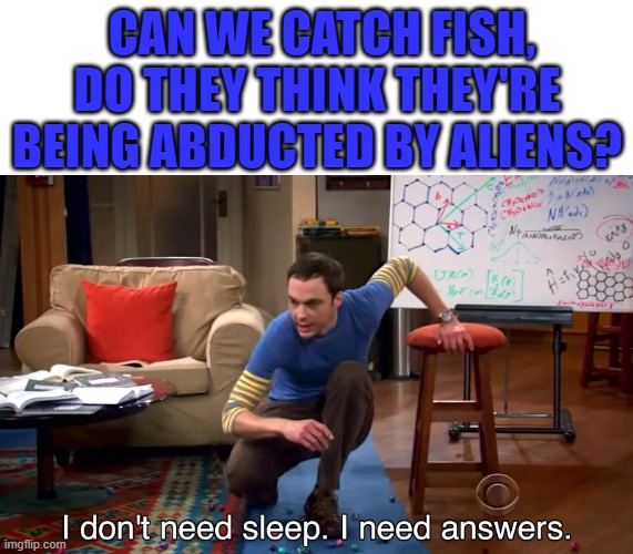 I Don't Need Sleep. I Need Answers | CAN WE CATCH FISH, DO THEY THINK THEY'RE BEING ABDUCTED BY ALIENS? | image tagged in i don't need sleep i need answers | made w/ Imgflip meme maker