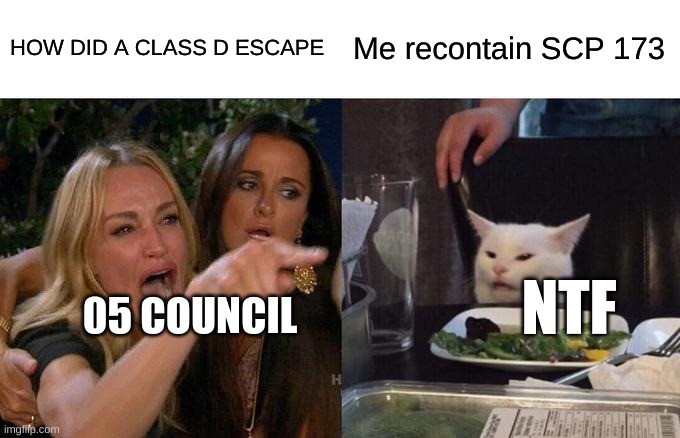173 or D-boi | HOW DID A CLASS D ESCAPE; Me recontain SCP 173; NTF; 05 COUNCIL | image tagged in memes,woman yelling at cat | made w/ Imgflip meme maker