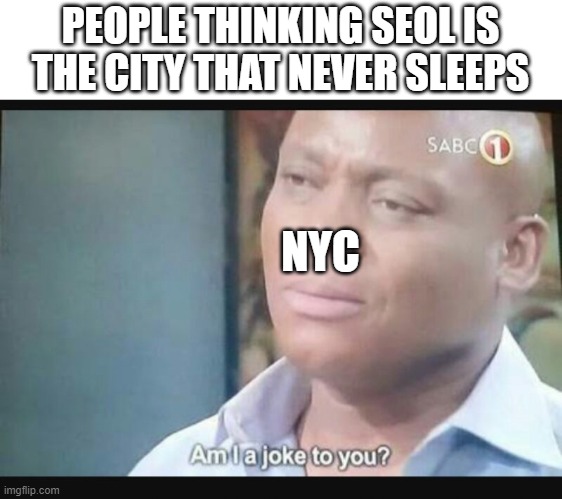 Am I a joke to you? | PEOPLE THINKING SEOL IS THE CITY THAT NEVER SLEEPS; NYC | image tagged in am i a joke to you | made w/ Imgflip meme maker