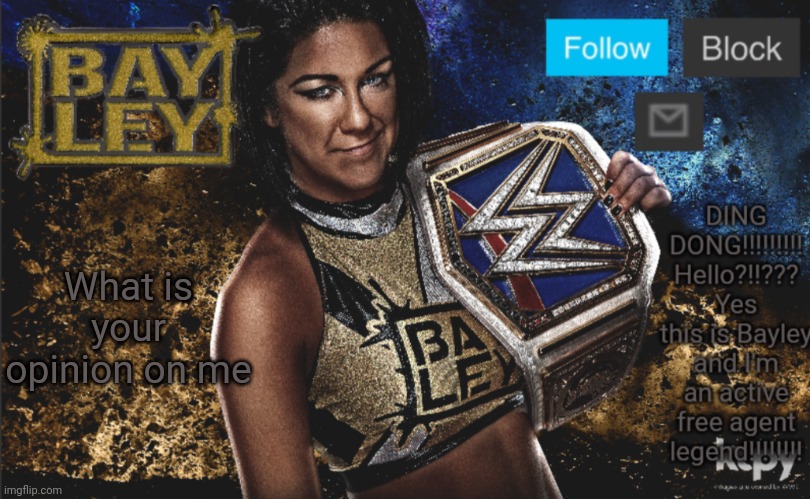Bayley Heel Announcement Template | What is your opinion on me | image tagged in bayley heel announcement template | made w/ Imgflip meme maker