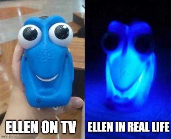 Ellen | ELLEN IN REAL LIFE; ELLEN ON TV | image tagged in finding dory good / bad | made w/ Imgflip meme maker