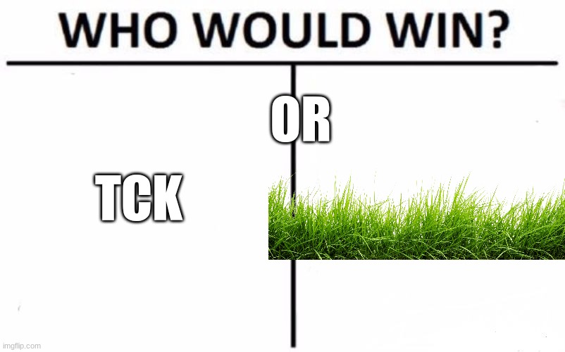 Who Would Win? | OR; TCK | image tagged in memes,who would win | made w/ Imgflip meme maker