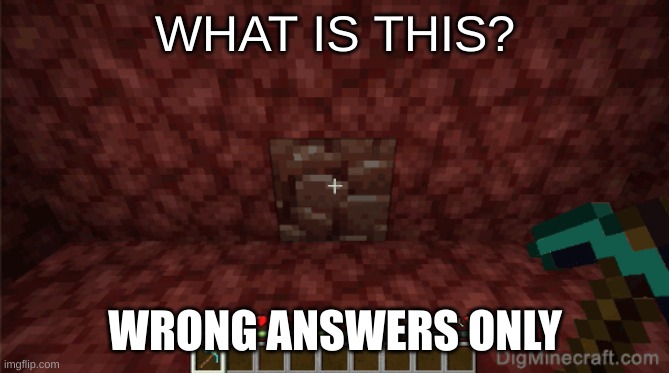 WHAT IS THIS? WRONG ANSWERS ONLY | image tagged in fun | made w/ Imgflip meme maker